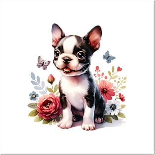 Boston Terrier Puppy Posters and Art